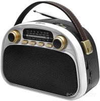 Радиоприемник Ritmix RPR-040 (белый)