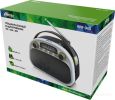 Радиоприемник Ritmix RPR-040 (белый)