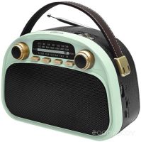 Радиоприемник Ritmix RPR-040 (мятный)