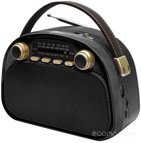 Радиоприемник Ritmix RPR-040 (черный)