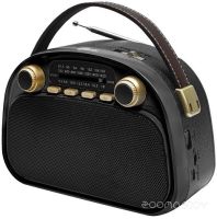 Радиоприемник Ritmix RPR-040 (черный)