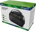 Радиоприемник Ritmix RPR-040 (черный)