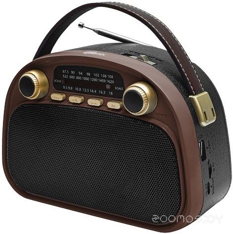 Радиоприемник Ritmix RPR-040 (шоколадный)