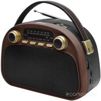 Радиоприемник Ritmix RPR-040 (шоколадный)