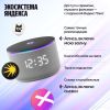 Умная колонка Яндекс Станция Мини 3 Про (серый)