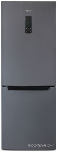 Холодильник Бирюса W920NF