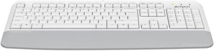 Клавиатура A4Tech Fstyler FK20 (белый)
