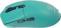 Мышь Raskat MG006TR