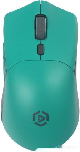 Мышь Raskat MG009WR