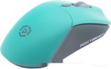 Мышь Raskat MG009WR