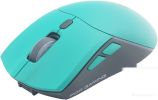 Мышь Raskat MG009WR