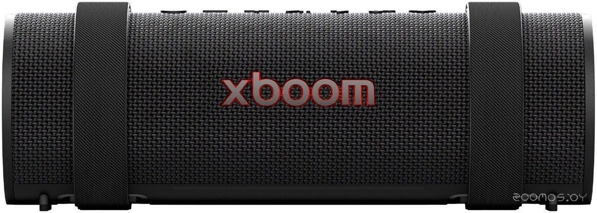 Беспроводная колонка LG XBOOM Grab