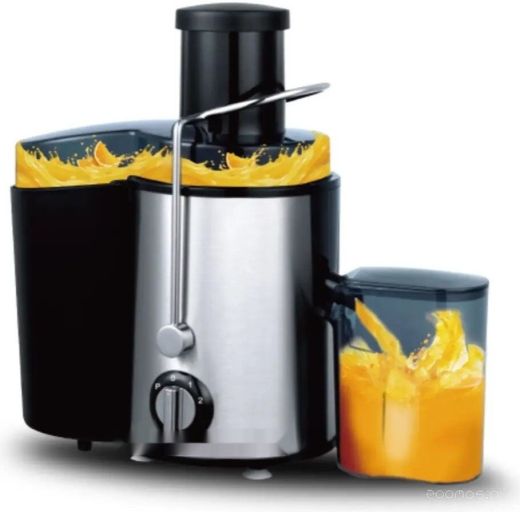 Соковыжималка Raf R.2817S