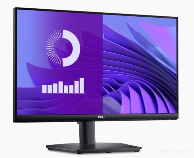 Монитор DELL E2425HS (210-BNJV)
