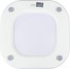 Напольные весы CENTEK CT-2441 (белый)