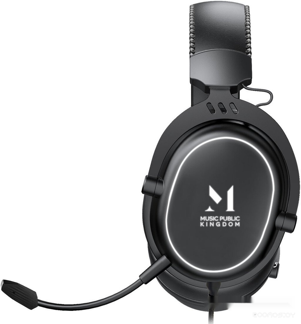 Наушники Music Public Kingdom HS150, фото 2