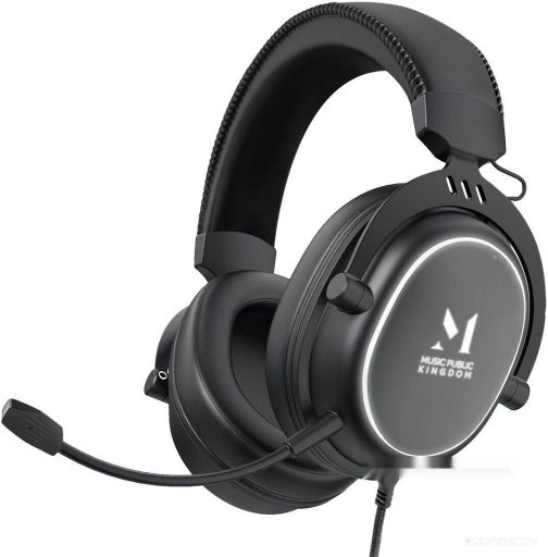 Наушники Music Public Kingdom HS150, фото 1