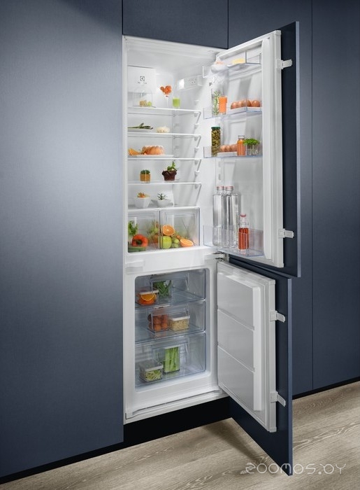 Холодильник Electrolux LND5FE18S, фото 3