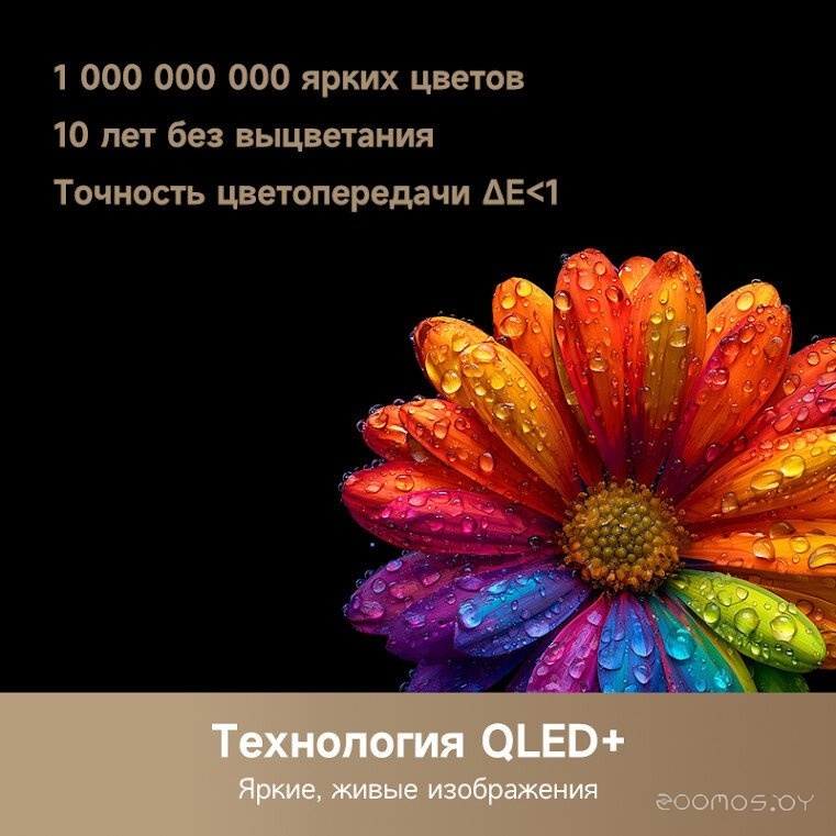 Телевизор Dreame 65Q100, фото 4