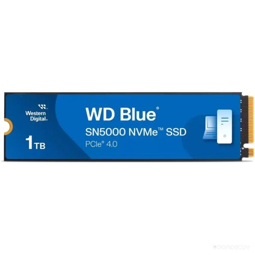 SSD Western Digital WDS100T4B0E