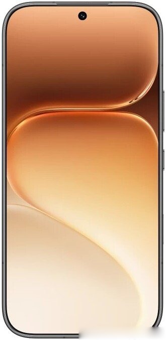 Телефон HONOR 600 Pro Dual SIM 12GB/512GB международная версия (черный), фото 2