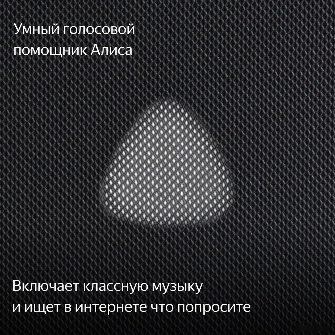 Умная колонка Яндекс Станция Макс (с хабом умного дома Zigbee, графит), фото 10