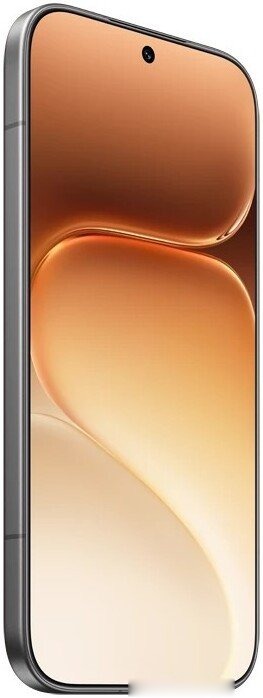 Телефон HONOR 600 Dual SIM 8GB/256GB международная версия (черный), фото 4