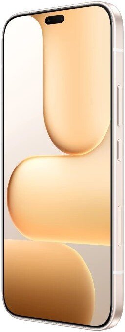 Телефон HONOR 600 Lite 8GB/256GB международная версия (пустынное золото), фото 4