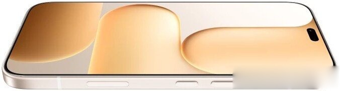 Телефон HONOR 600 Lite 8GB/256GB международная версия (пустынное золото), фото 5