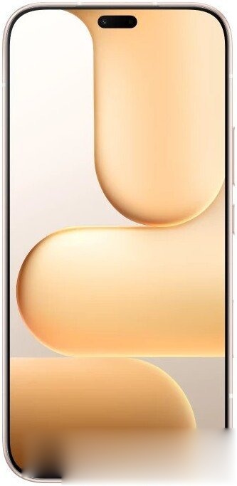 Телефон HONOR 600 Lite 8GB/256GB международная версия (пустынное золото), фото 2