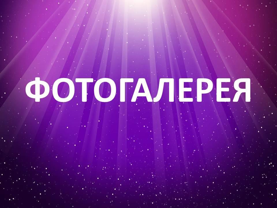 фОТОГАЛЕРЕЯ