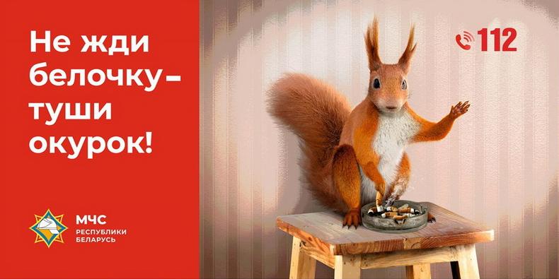 Не жди белочку - туши окурок!