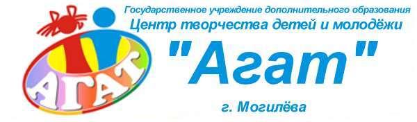 Государственное учреждение дополнительного образования   Центр творчества детей и молодежи    "АГАТ"