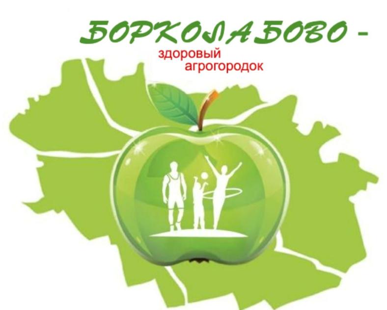 Борколабово - здоровый агрогородрк