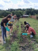 Работа на пришкольном участке