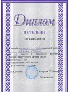 Спортивные достижения 2024
