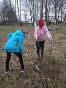 Акция "Посади дерево" (в рамках Недели леса)