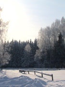 Трилесино