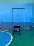 Настольны тэніс “Залатая ракетка”