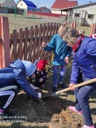 Акция "Посади дерево"