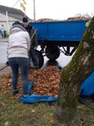 Субботник 27-10-2018