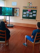 13 день воспитательно-оздоровительного лагеря труда и отдыха