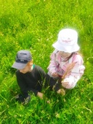 Цветущие виды растений территории детского сада. Пополнение картосхемы дикорастущих травянистых растений на территории учреждения дошкольного образования. Разработка паспорта-описания видового разнообразия травянистых растений