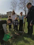 Трудовая акция "Посади дерево"