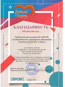 Первичная организация ОО "БРСМ" государственного учреждения образования "Средняя школа №13 г.Орши"