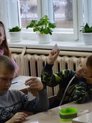 Оздоровительный лагерь с дневным пребыванием декабрь 2016 г.