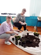 Акция "Цветущая школа"