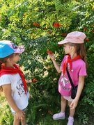 "День леса" в лагере Капелька