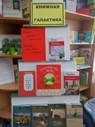 Литературный салон "Книжная галактика" ( 7-8 классы)