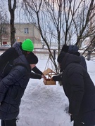 20.01.2024 года среди учащихся 7А и 7Б классов прошла экологическая акция «Покормите птиц зимой!»